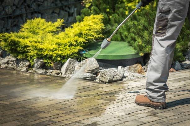 Best Warehouse Cleaning  in Riva, MD