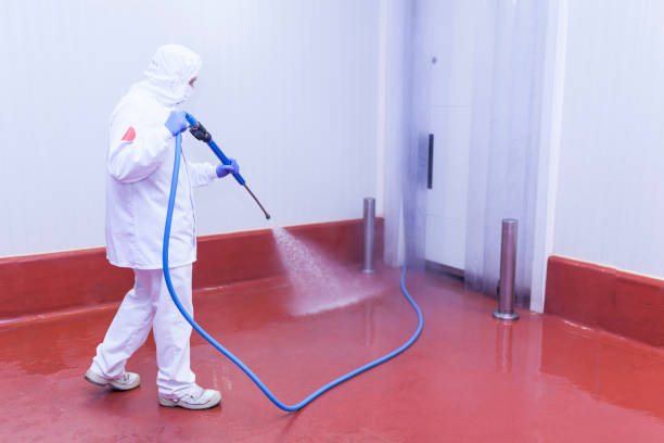 Best Boat and Dock Cleaning  in Riva, MD